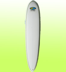 Big High Performance Malibu - 9 foot 1 - White pimgneted